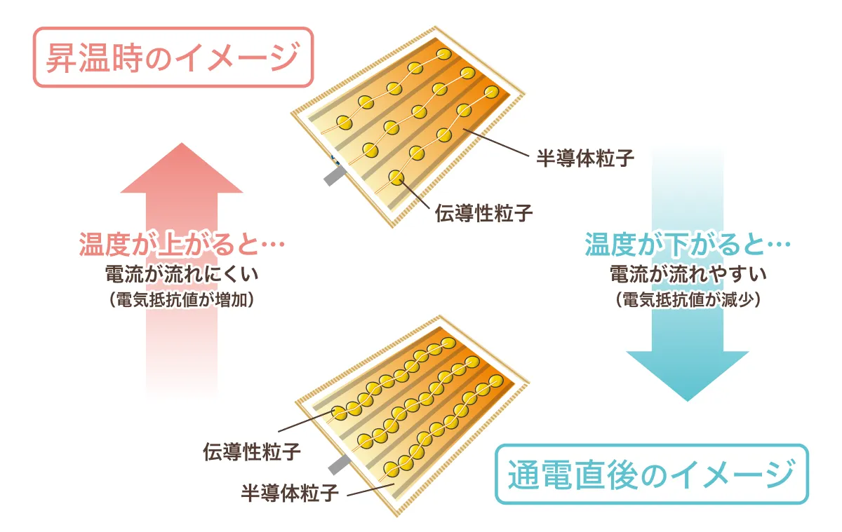 エナモのPTCとは？