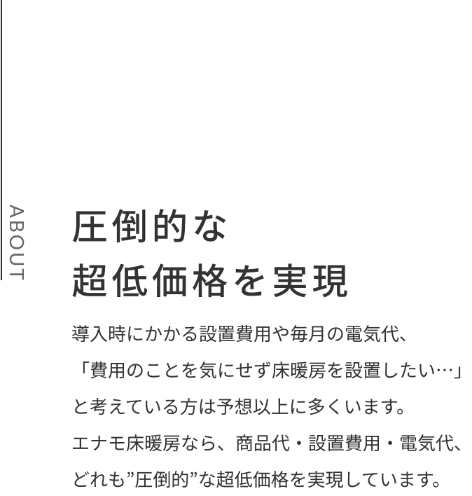 圧倒的な 超低価格を実現